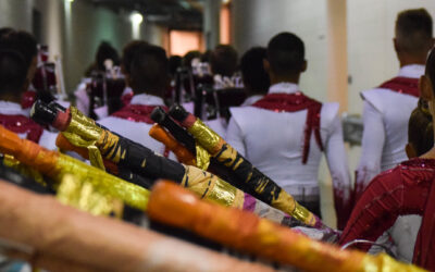 Flags, Equipment, and Costumes for Sale!